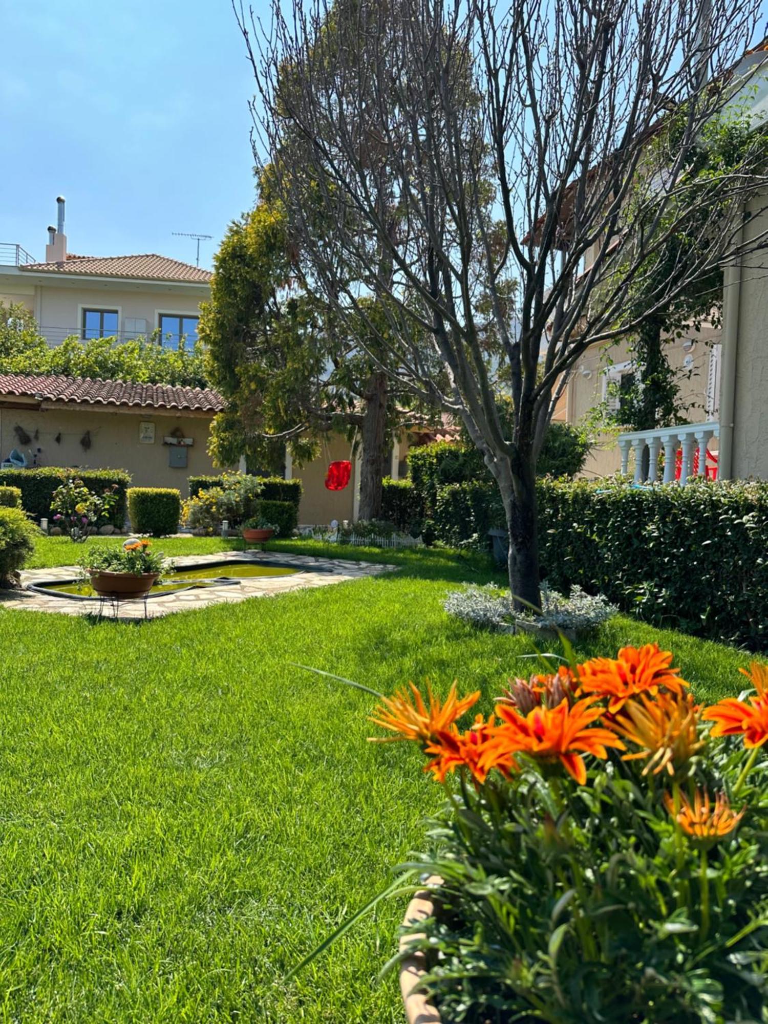Spyros Apartment Diakopto Dış mekan fotoğraf